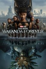 Watch Black Panther: Wakanda Forever 123netflix