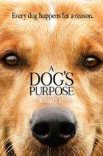 Watch A Dog's Purpose 123netflix