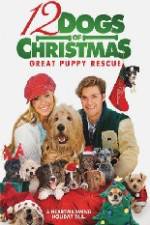 Watch 12 Dogs of Christmas Great Puppy Rescue 123netflix