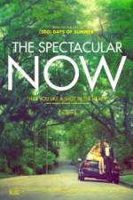 Watch The Spectacular Now 123netflix
