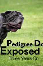 Watch Pedigree Dogs Exposed, Three Years On 123netflix