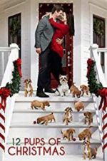 Watch 12 Pups of Christmas 123netflix