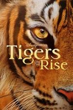 Watch Tigers on the Rise 123netflix