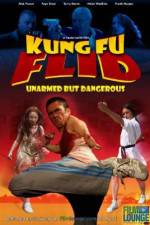 Watch Kung Fu Flid 123netflix