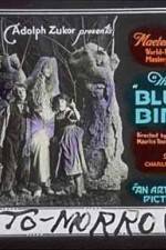 Watch The Blue Bird 123netflix