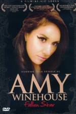 Watch Amy Winehouse Fallen Star Online 123netflix