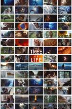 Watch The Tree of Life 123netflix