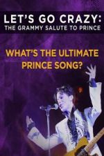 Watch Let\'s Go Crazy: The Grammy Salute to Prince 123netflix