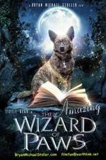 Watch The Amazing Wizard of Paws Online 123netflix