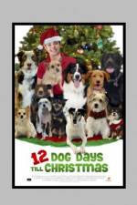 Watch 12 Dog Days of Christmas 123netflix