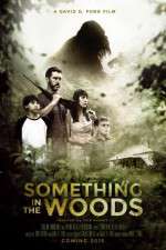 Watch Something in the Woods Online 123netflix