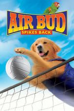 Watch Air Bud: Spikes Back Online 123netflix