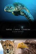 Watch Turtle, Eagle, Cheetah: A Slow Odyssey 123netflix