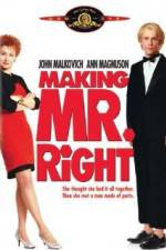 Watch Making Mr. Right Online 123netflix