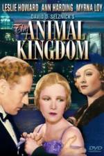 Watch The Animal Kingdom 123netflix
