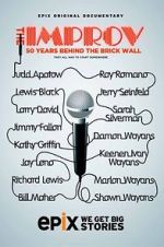 Watch The Improv: 50 Years Behind the Brick Wall (TV Special 2013) 123netflix