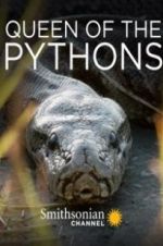 Watch Queen of the Pythons 123netflix