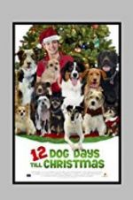 Watch 12 Dog Days Till Christmas 123netflix