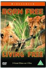 Watch Living Free Online 123netflix