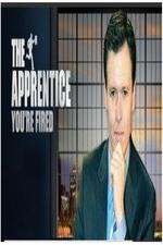 the apprentice you're fired tv poster