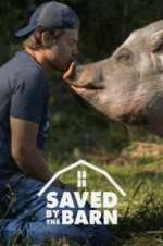 Watch Saved by the Barn 123netflix