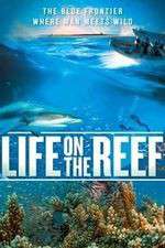 Watch Life on the Reef 123netflix
