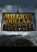 million dollar catch tv poster