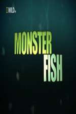 Watch 123netflix National Geographic Monster Fish Online