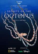 Secrets of the Octopus 123netflix