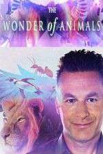 Watch The Wonder of Animals 123netflix