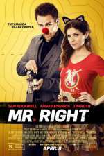 Watch Mr. Right 123netflix