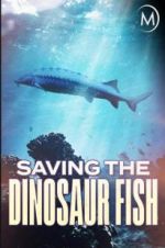 Watch Saving the Dinosaur Fish 123netflix