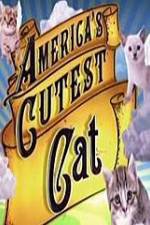 Watch America's Cutest Cat 123netflix