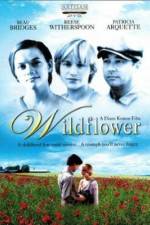 Watch Wildflower 123netflix