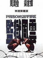 Watch Prison on Fire 123netflix