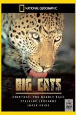 Watch National Geographic: Living With Big Cats 123netflix