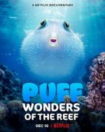 Watch Puff: Wonders of the Reef 123netflix