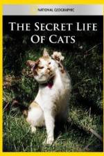 Watch National Geographic The Secret Life of Cats 123netflix