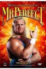 Watch The Life and Times of Mr Perfect 123netflix
