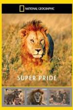 Watch National Geographic: Super Pride Africa\'s Largest Lion Pride 123netflix