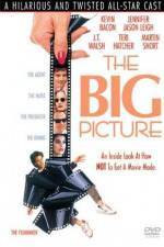 Watch The Big Picture 123netflix