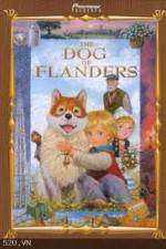 Watch The Dog of Flanders 123netflix