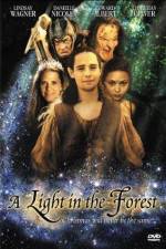 Watch A Light in the Forest 123netflix