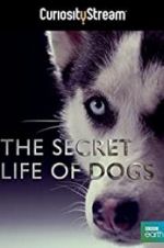 Watch Secret Life of Dogs 123netflix