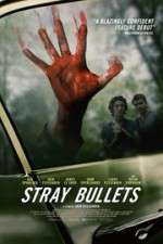 Watch Stray Bullets 123netflix