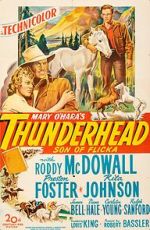 Watch Thunderhead: Son of Flicka 123netflix