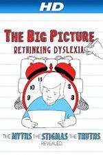 Watch The Big Picture Rethinking Dyslexia 123netflix