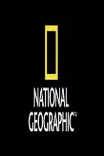 Watch National Geographic Wild Animal Attacks On Vacation 123netflix