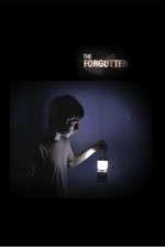 Watch The Forgotten 123netflix