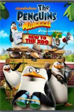 Watch Penguins of Madagascar New to the Zoo 123netflix